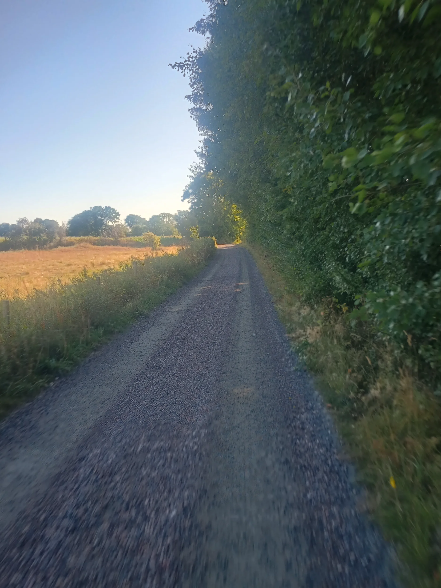 IMG_20260818_085817455_HDR.webp
