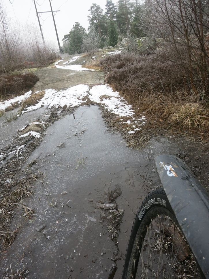 IMG_2028.jpg