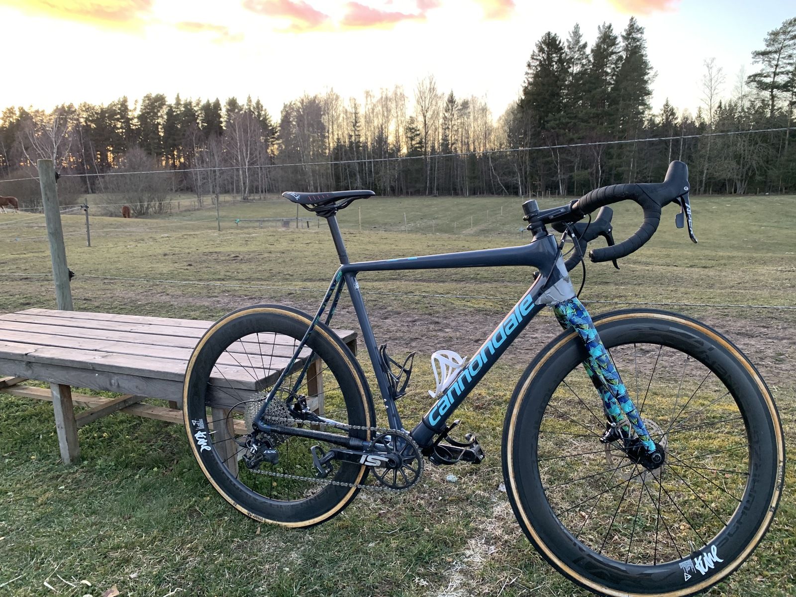 IMG_2047.jpg