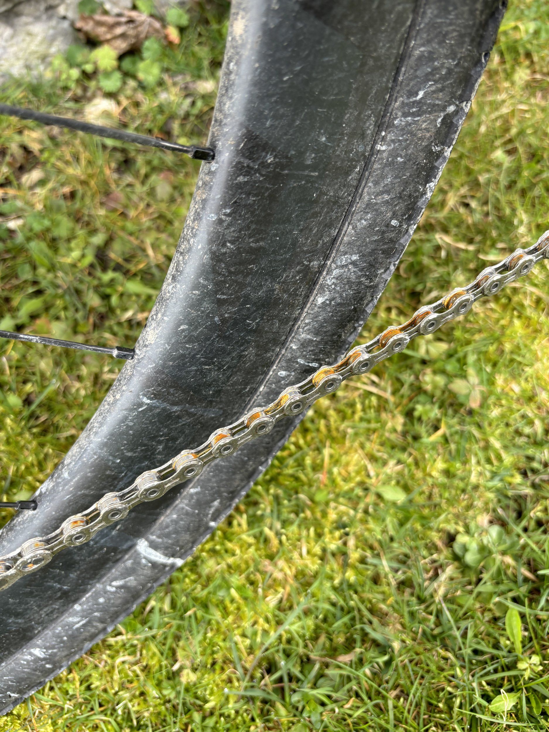 IMG_2097.jpeg