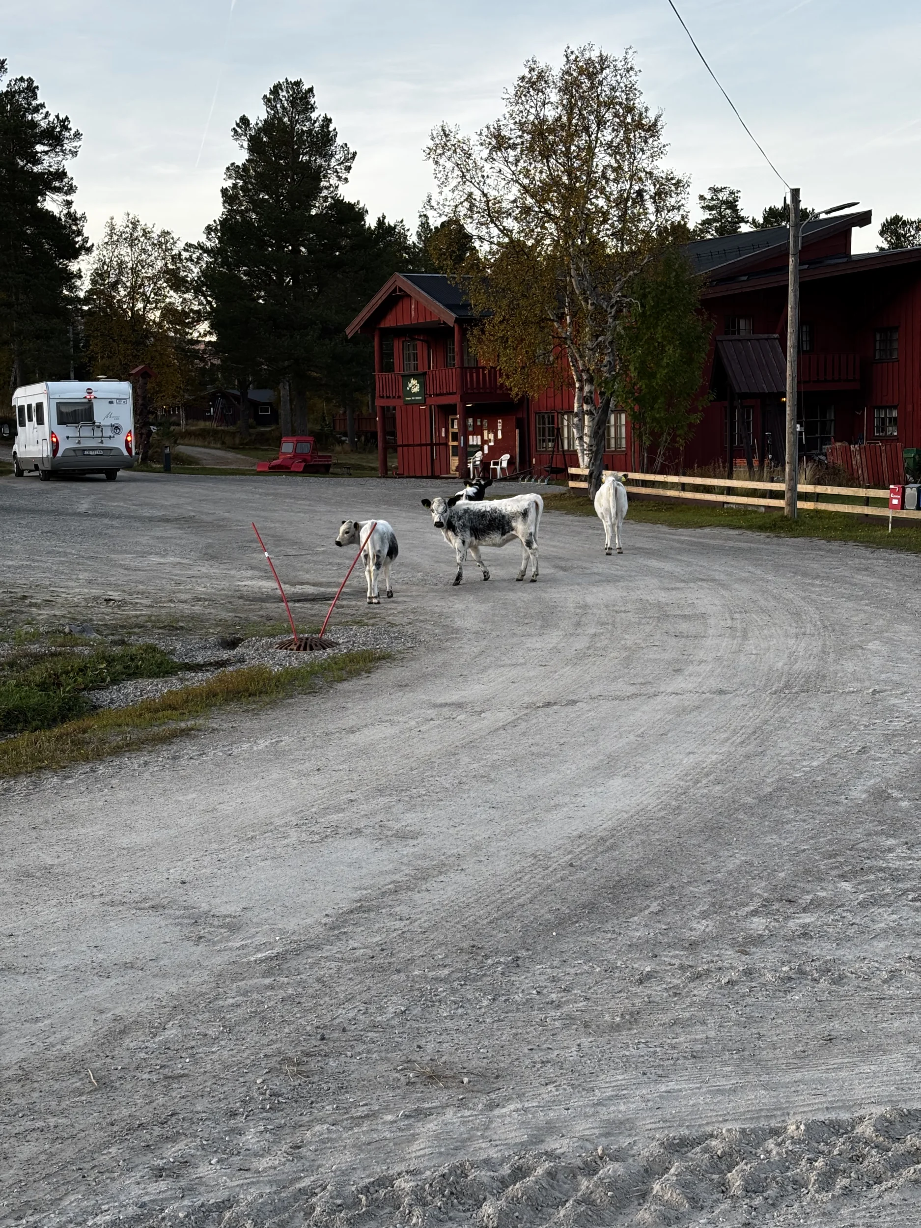 IMG_2098.webp
