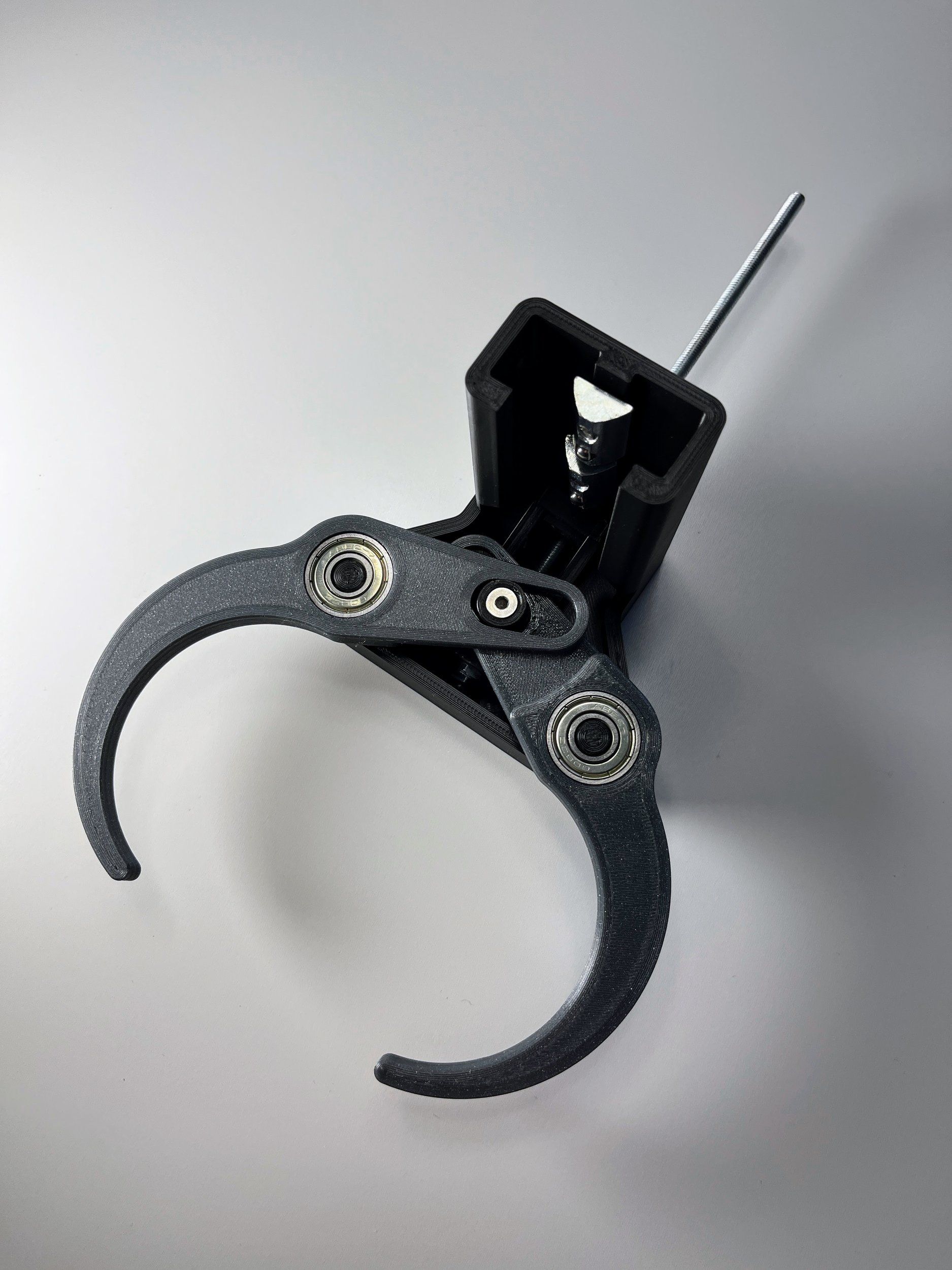 IMG_2321 - kopia.JPG