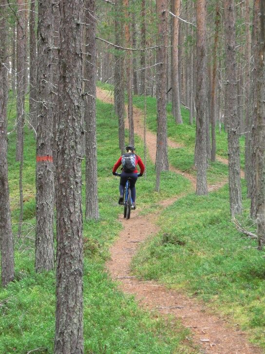 IMG_23211.JPG ht=725