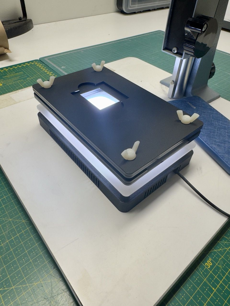 IMG_2349 - stor.jpeg