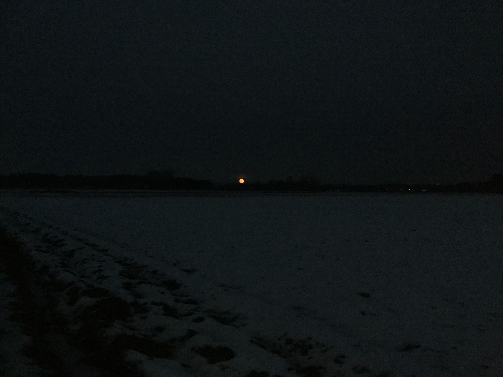 IMG_2360.JPG