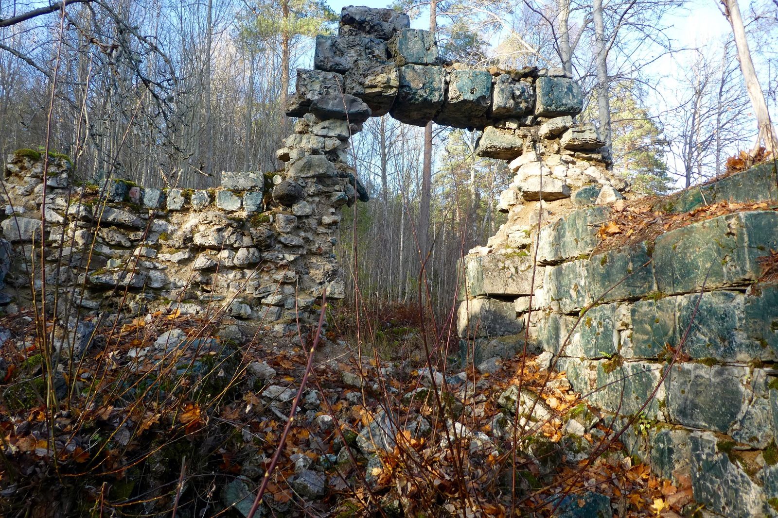 IMG_2424.jpg