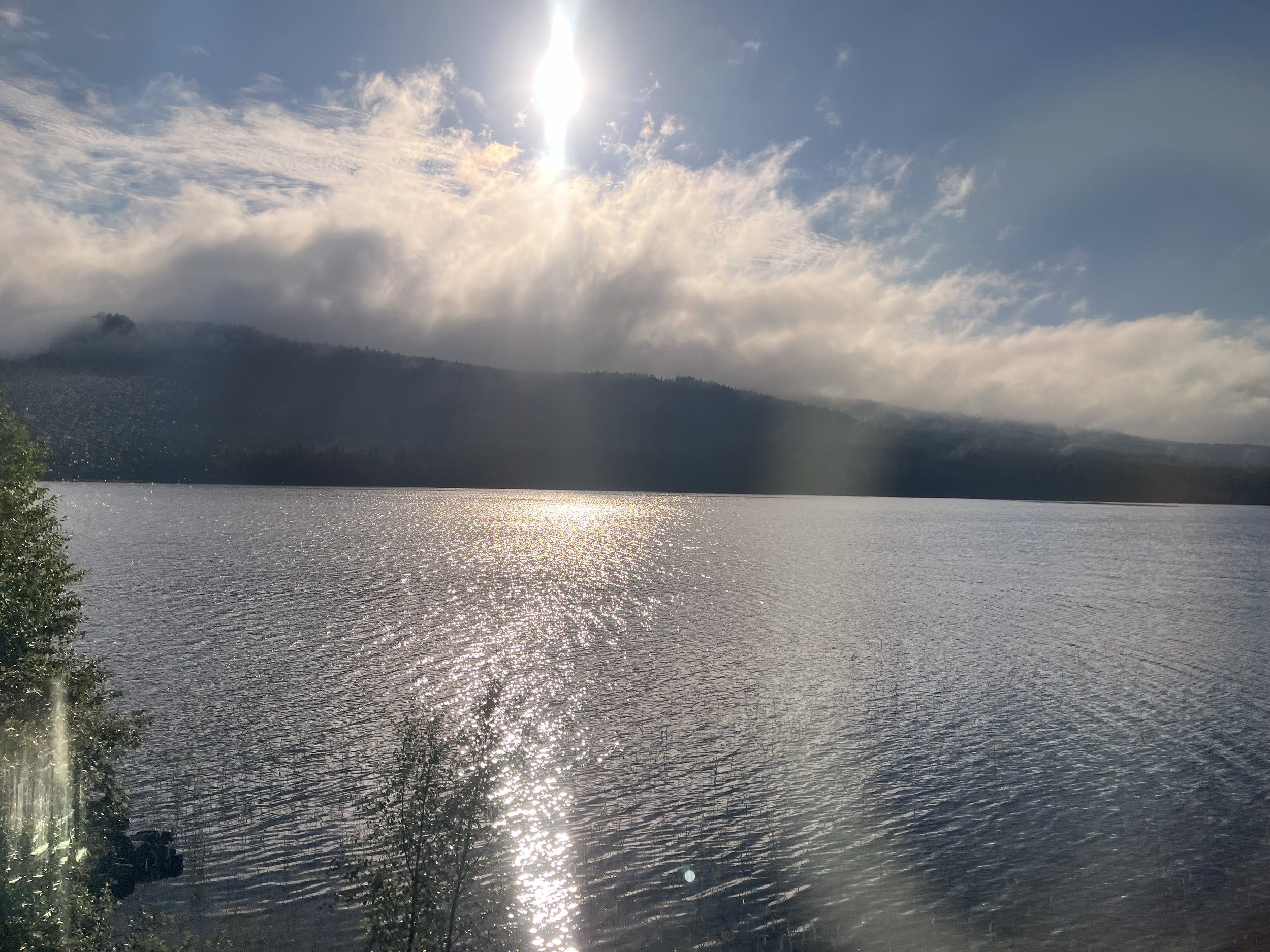 IMG_2452.jpeg