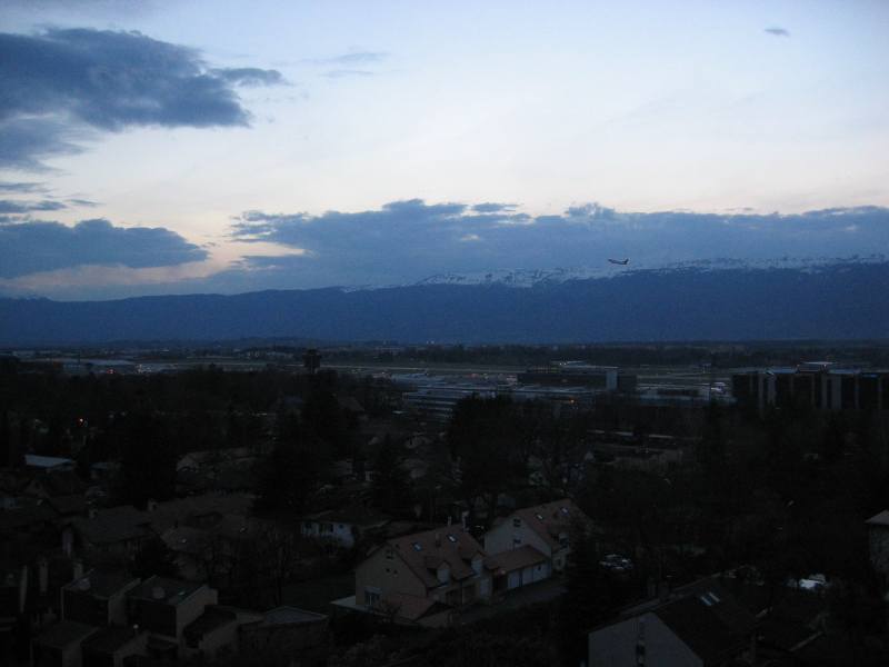 IMG_2511.jpg