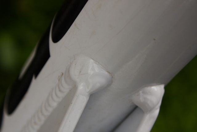 IMG_2571dpp.JPG ht=427