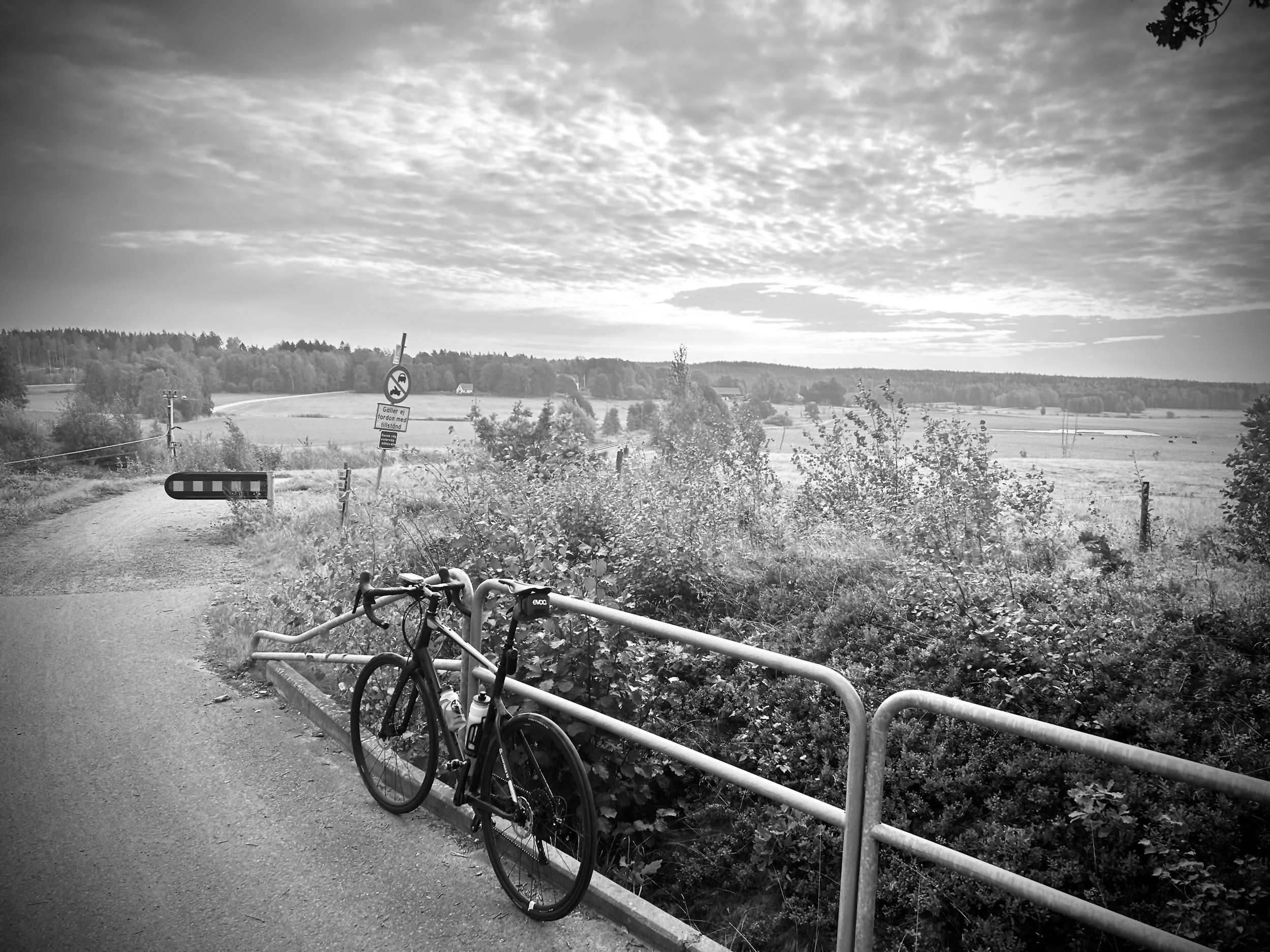 IMG_2606.jpeg