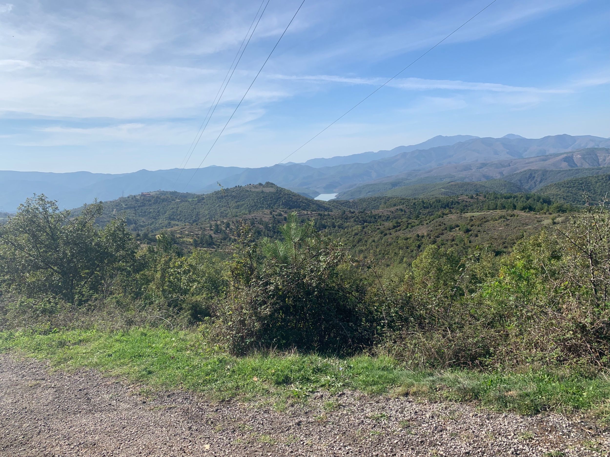 IMG_2767.jpeg