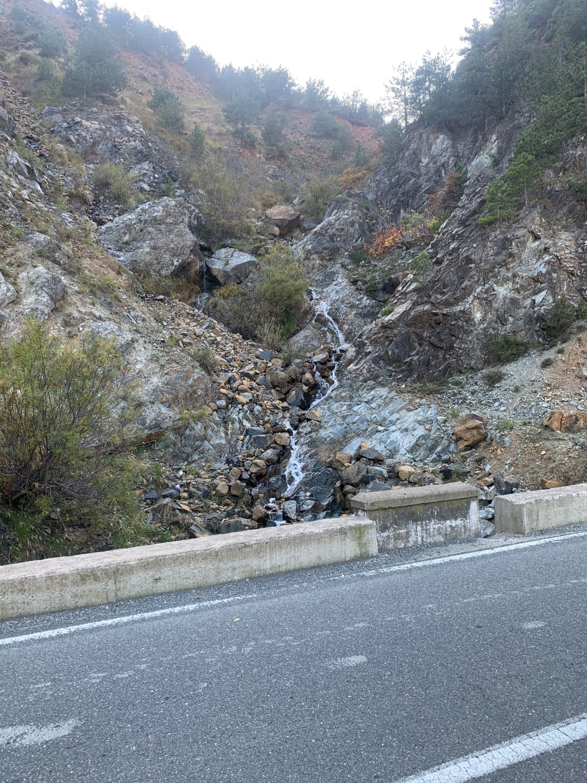 IMG_2778.jpeg