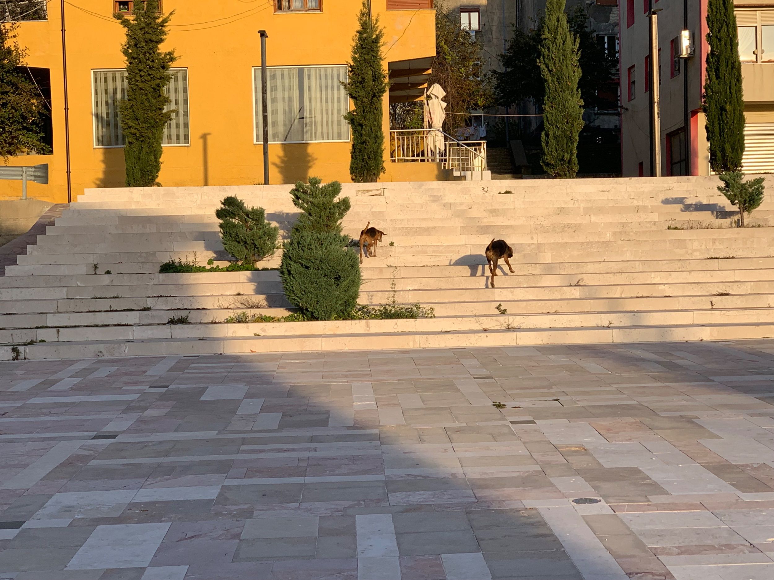 IMG_2784.jpeg