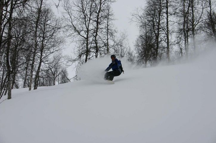 IMG_2786.JPG ht=483