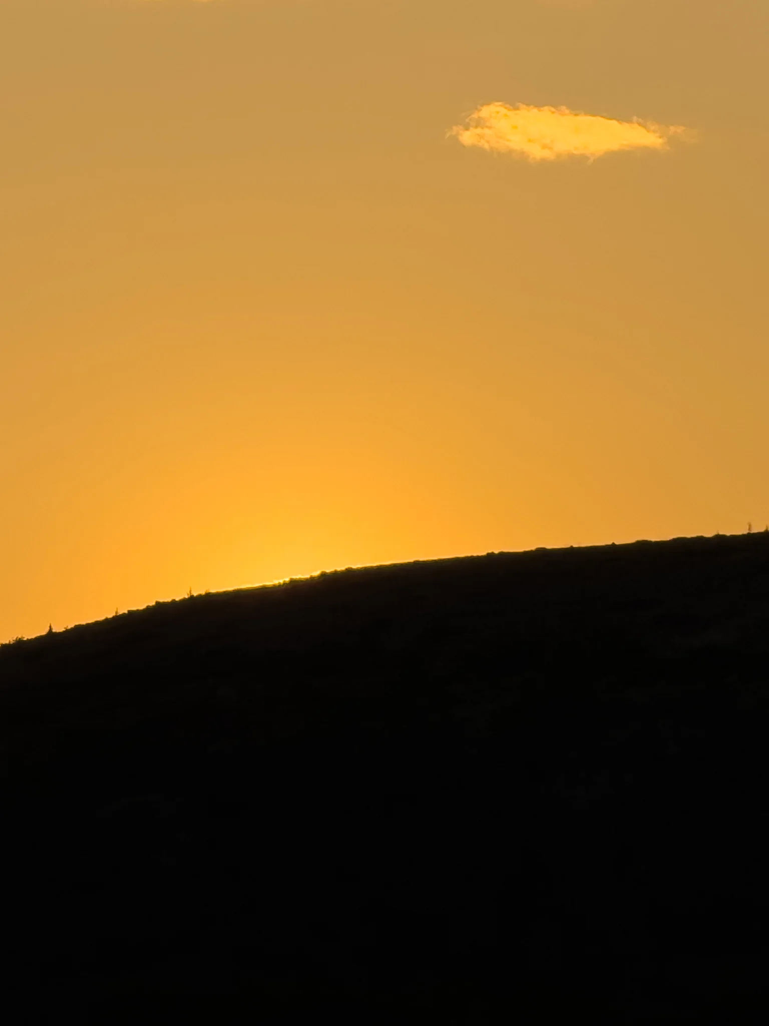 IMG_2798.webp
