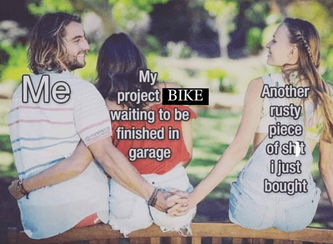 IMG_2815.png
