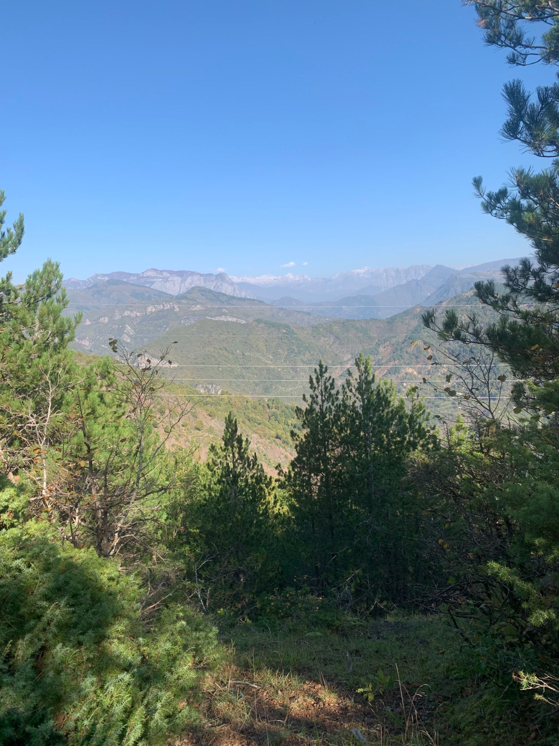 IMG_2855.jpeg