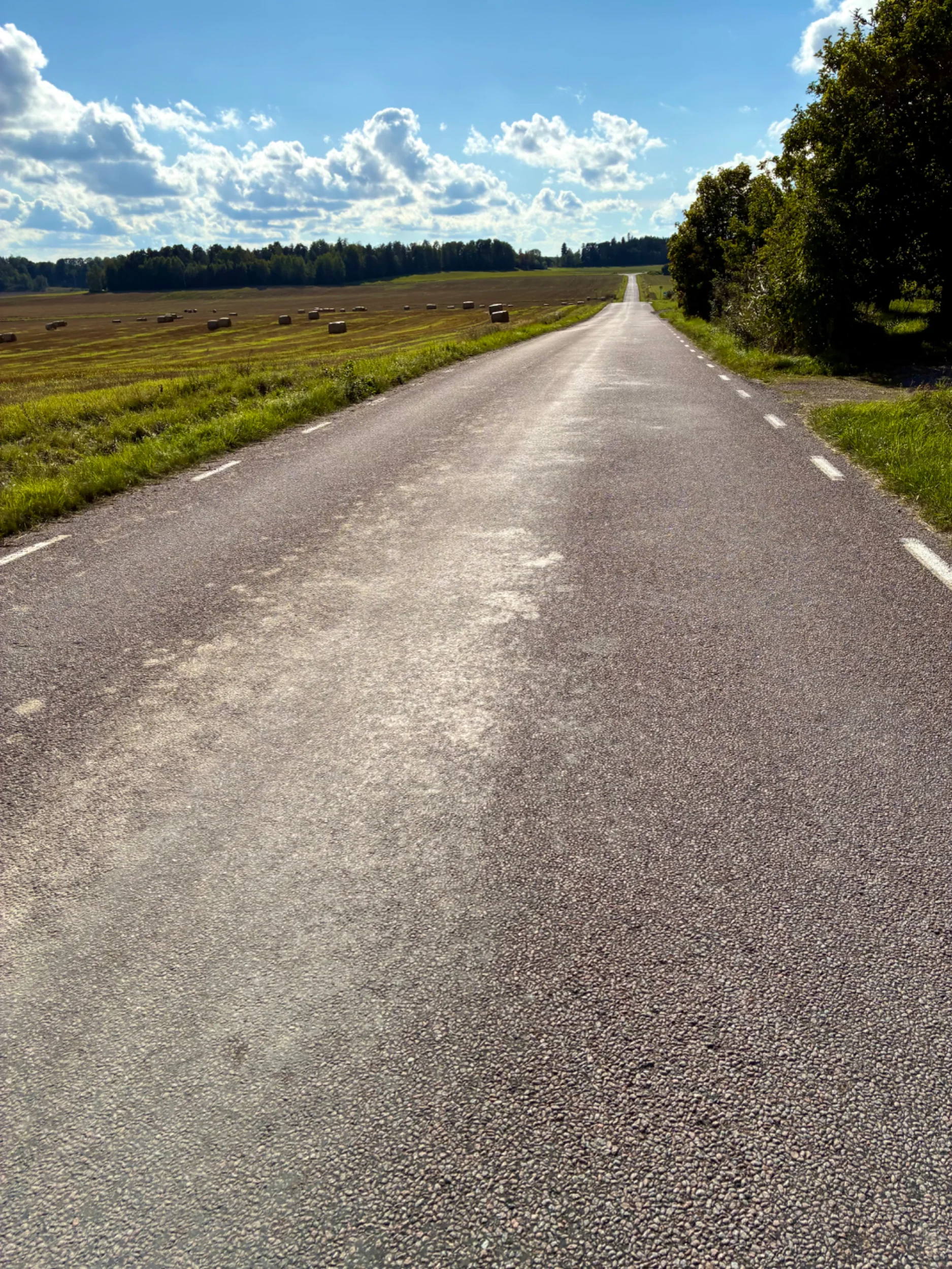IMG_2864.webp