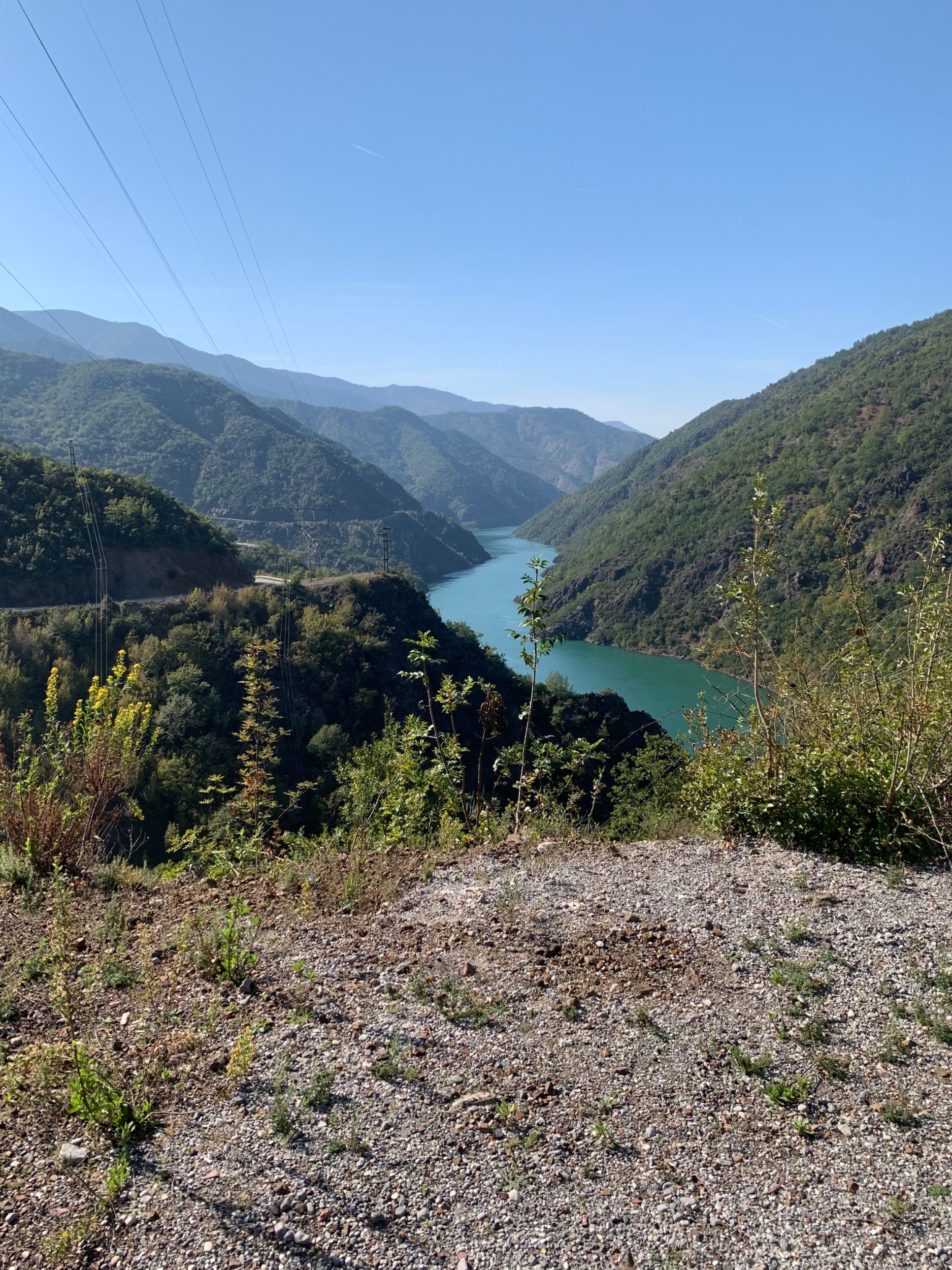 IMG_2884.jpeg