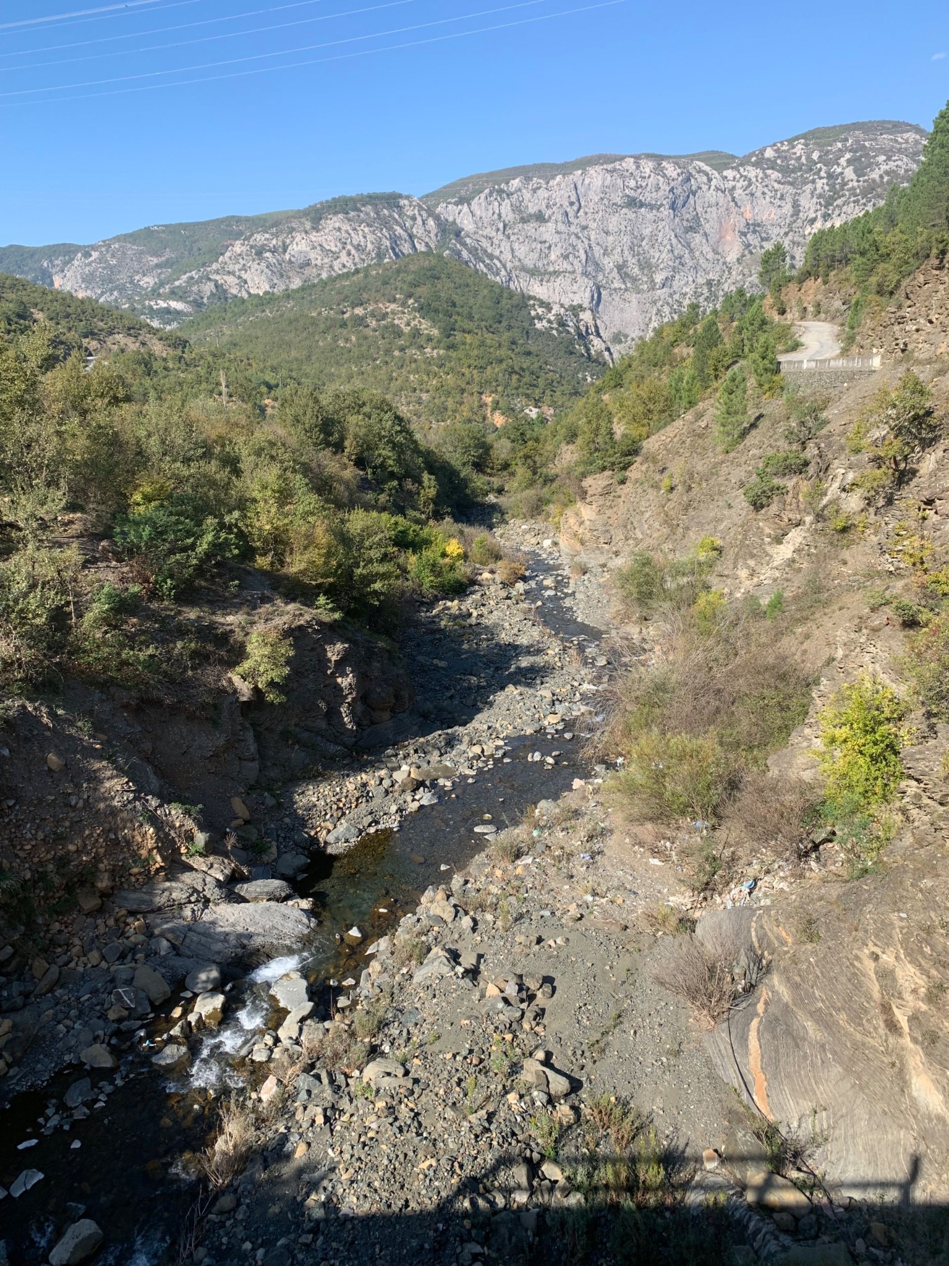 IMG_2890.jpeg