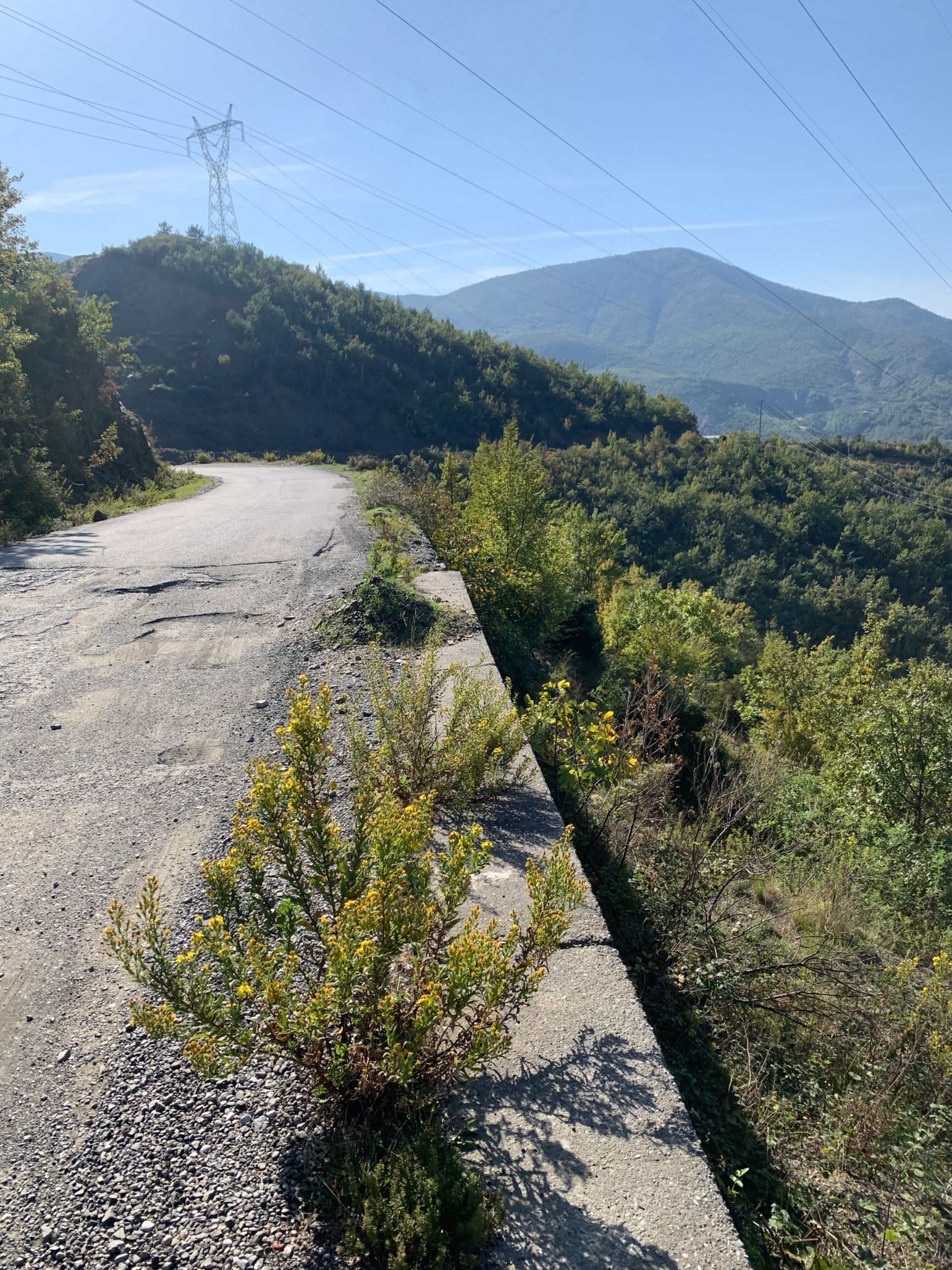 IMG_2899.jpeg