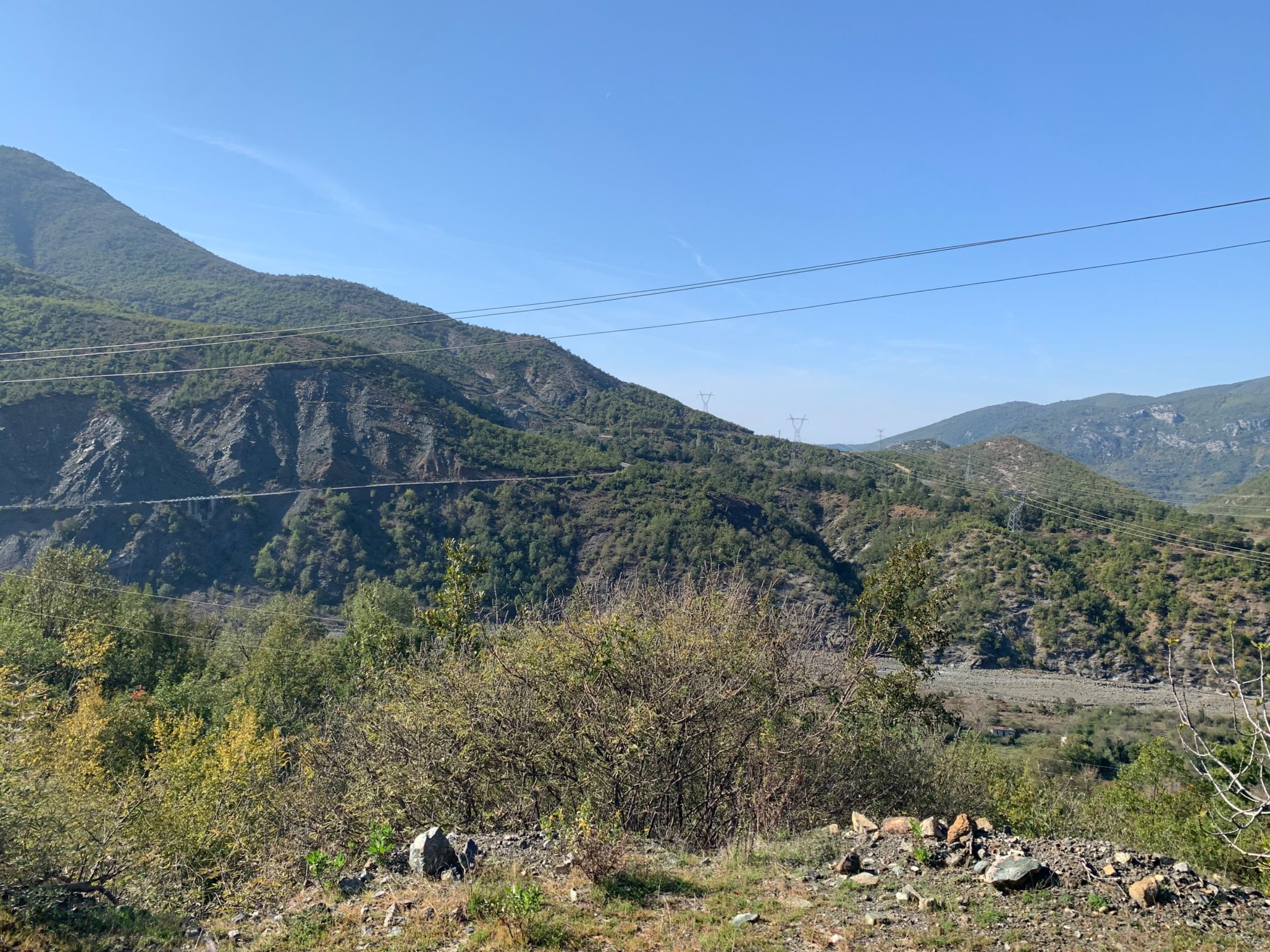 IMG_2903.jpeg