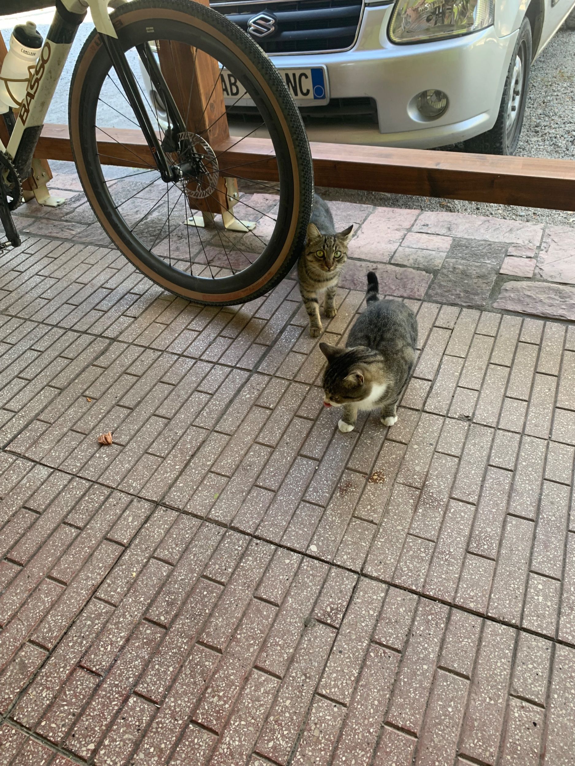 IMG_2927.jpeg