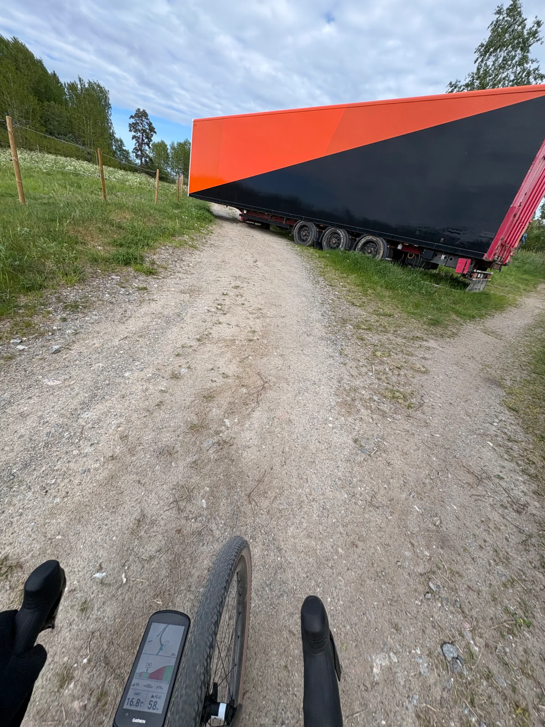 IMG_2938.webp