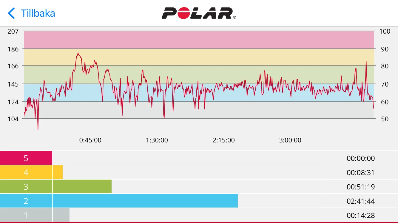 IMG_2991.webp