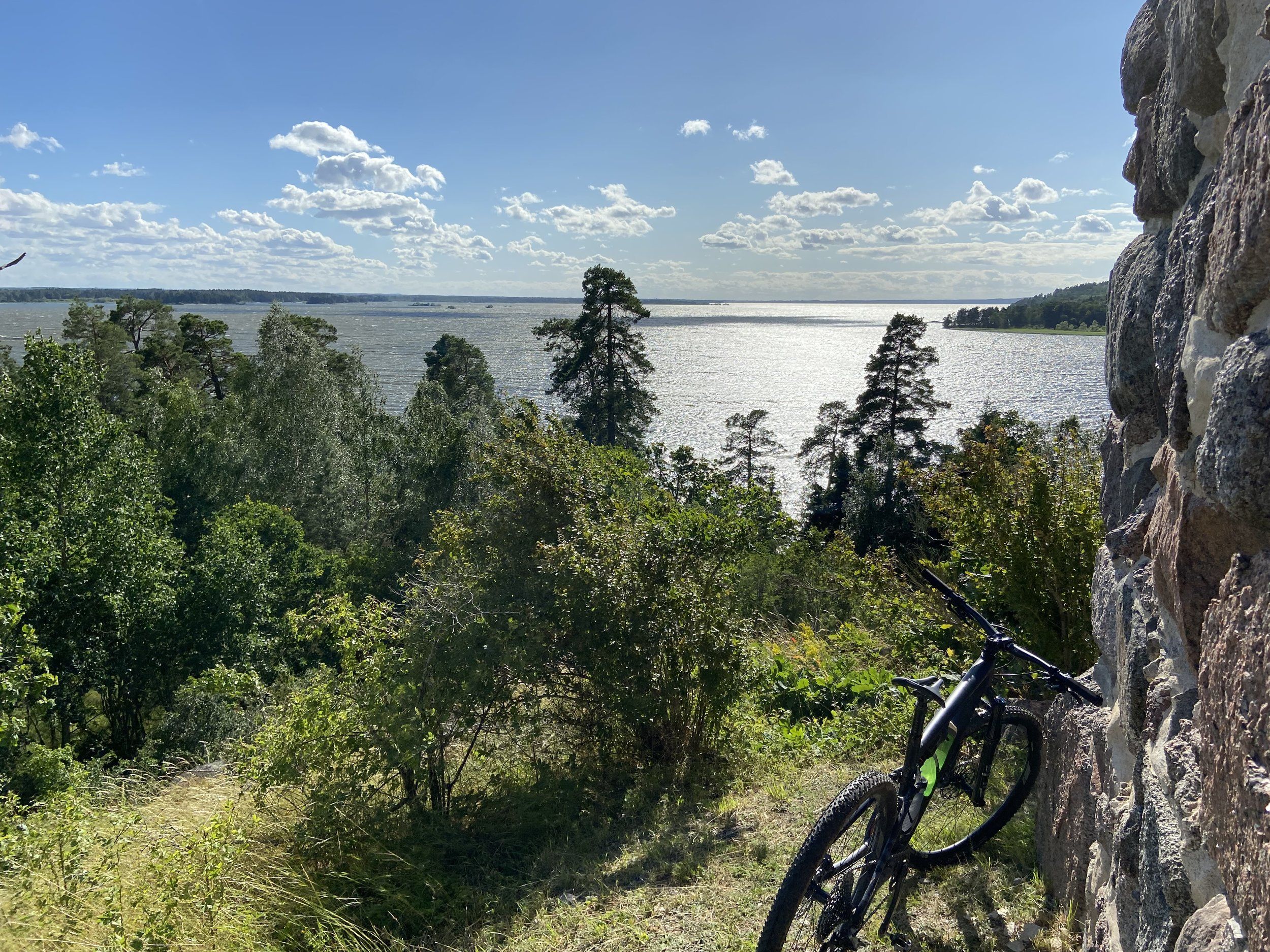 IMG_3133.jpeg
