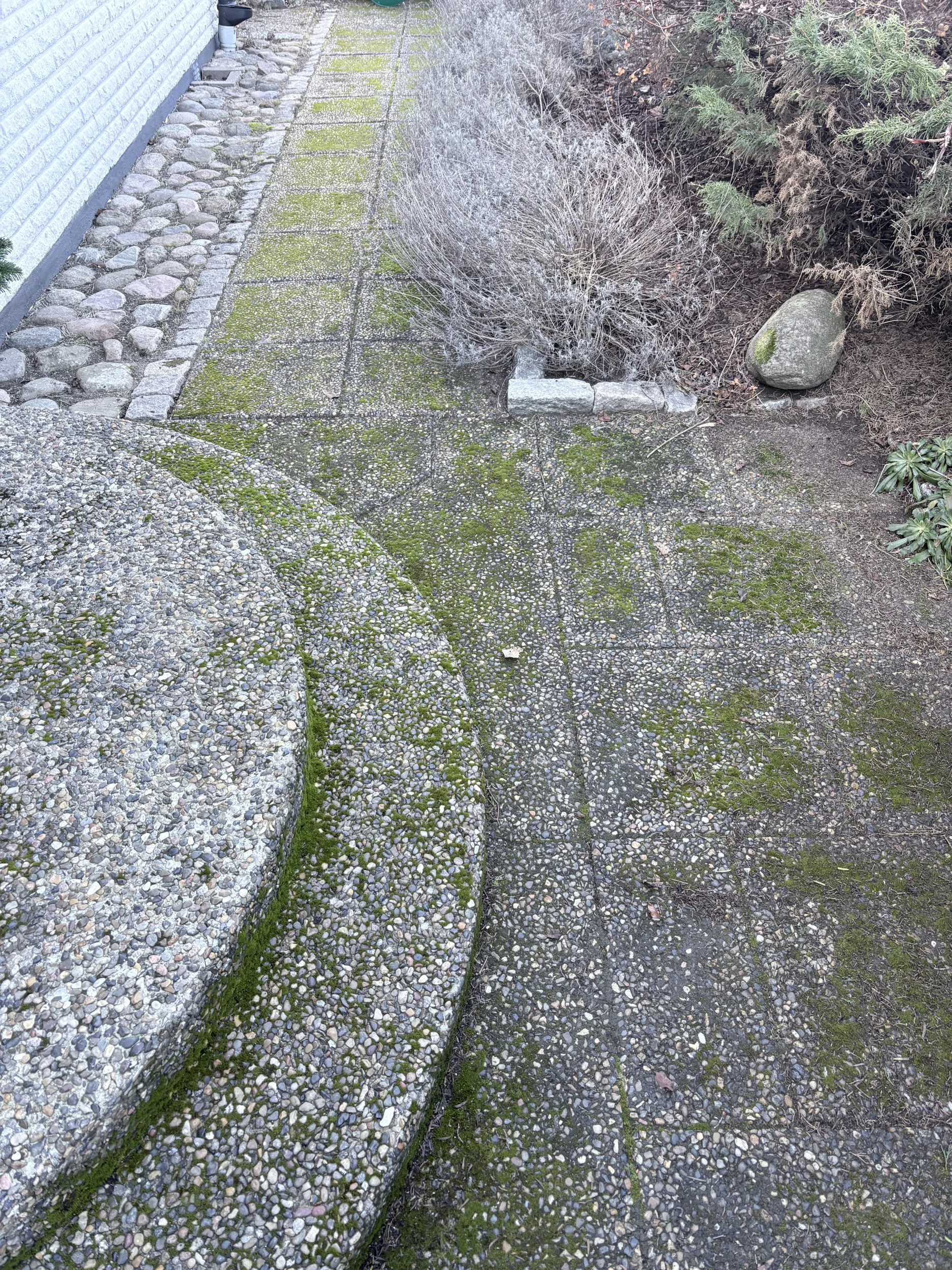 IMG_3146.webp