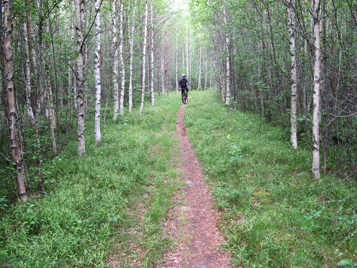 IMG_3175mod.jpg ht=544