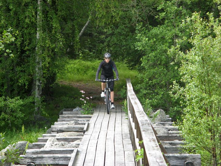 IMG_3181mod.jpg ht=544