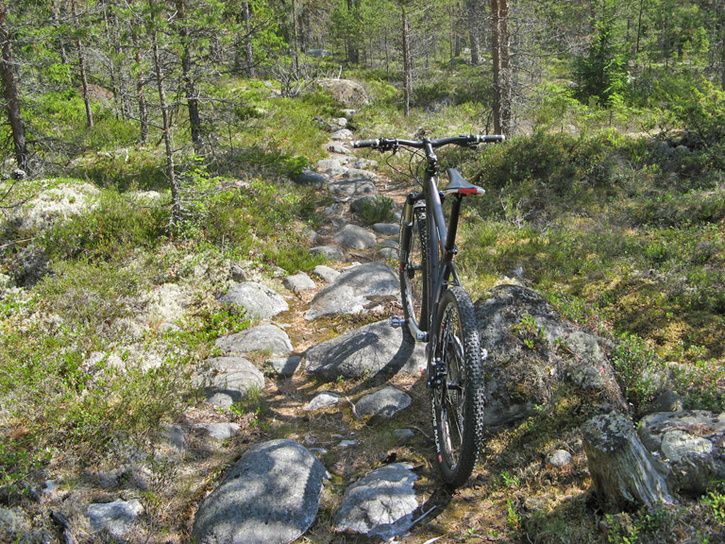 IMG_3204mod.jpg ht=544