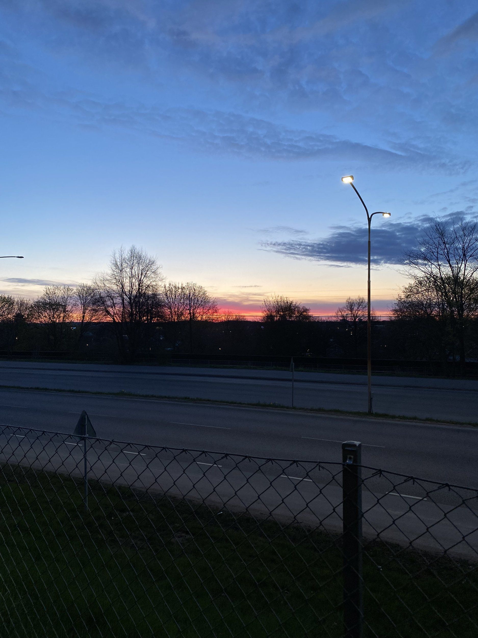 IMG_3256.jpeg
