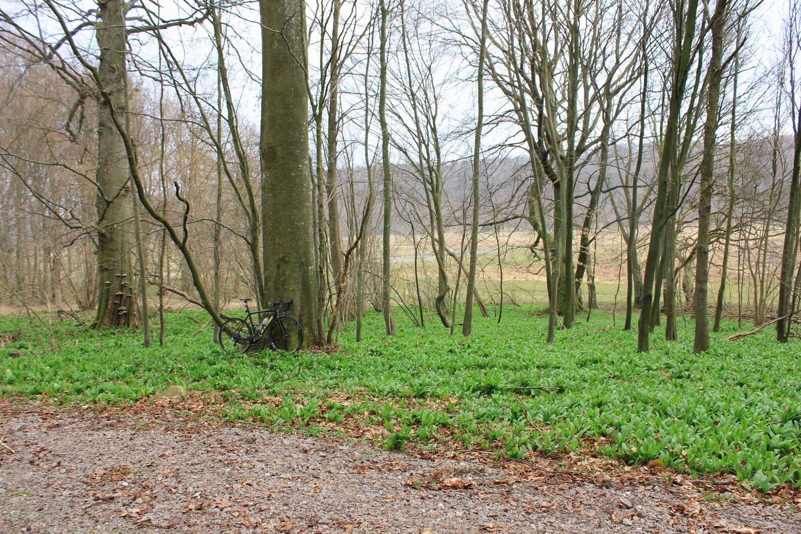 IMG_33592.jpg