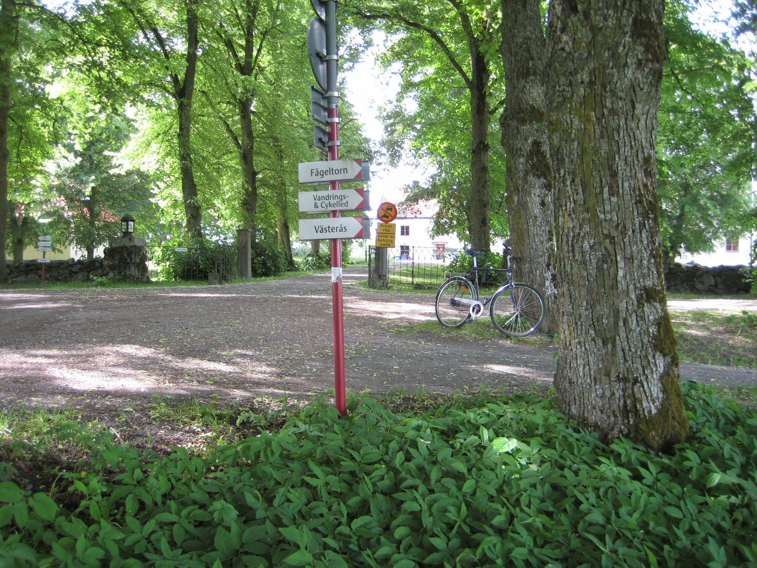 IMG_3374.JPG