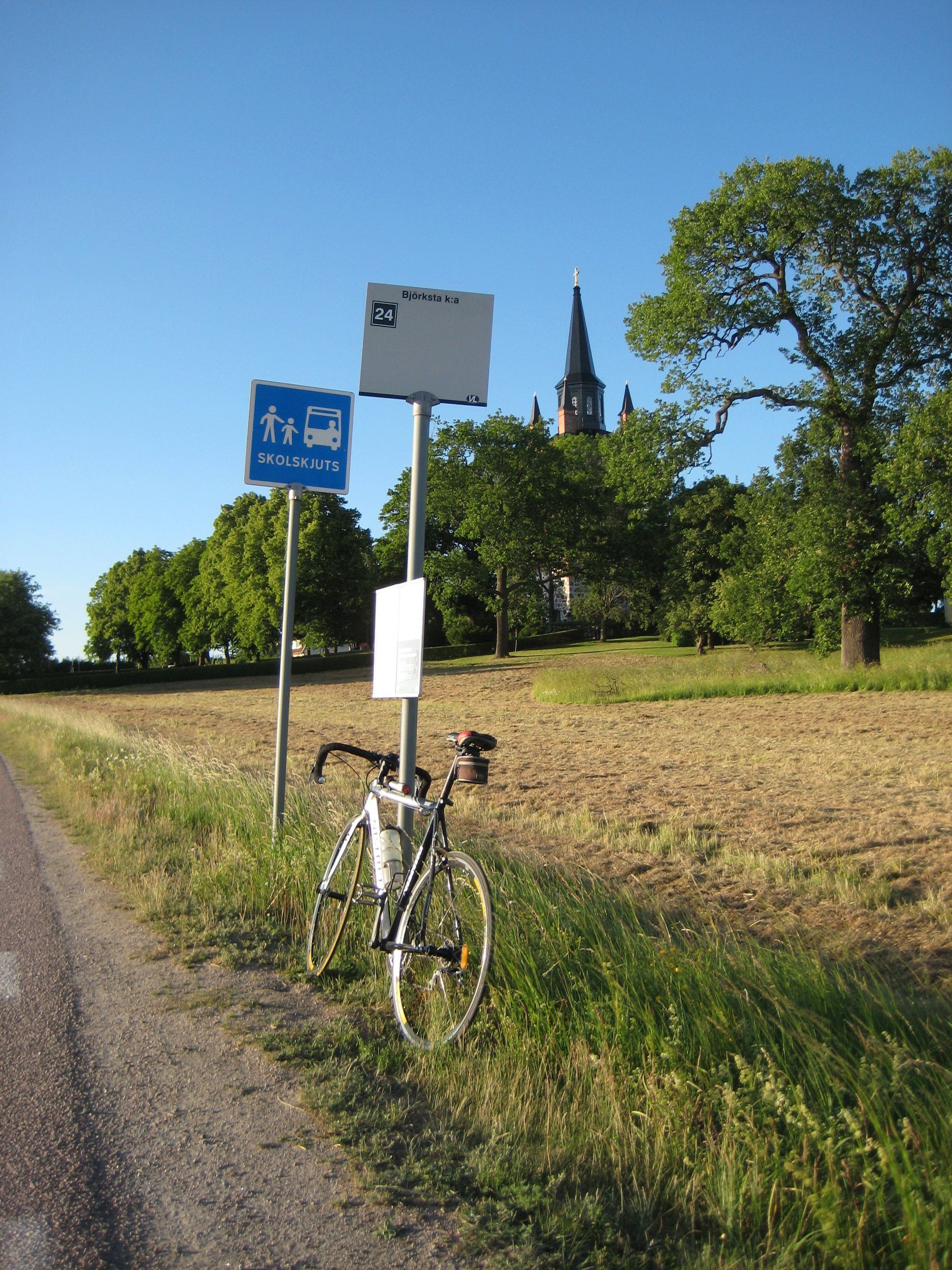 IMG_3398.JPG