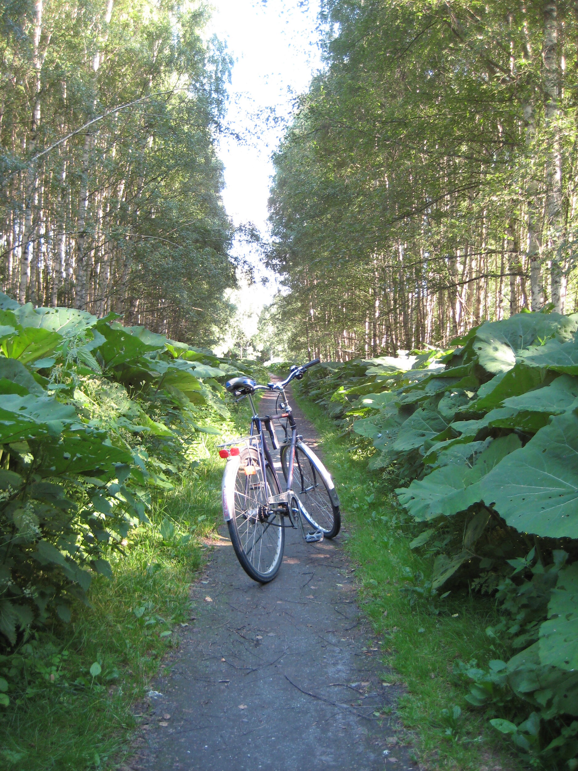 IMG_3417 - Copy.JPG
