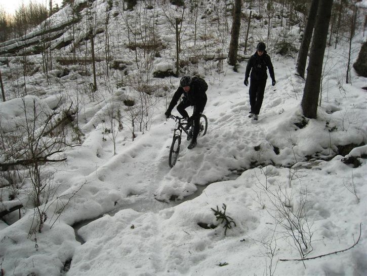 IMG_3438Large.jpg ht=544