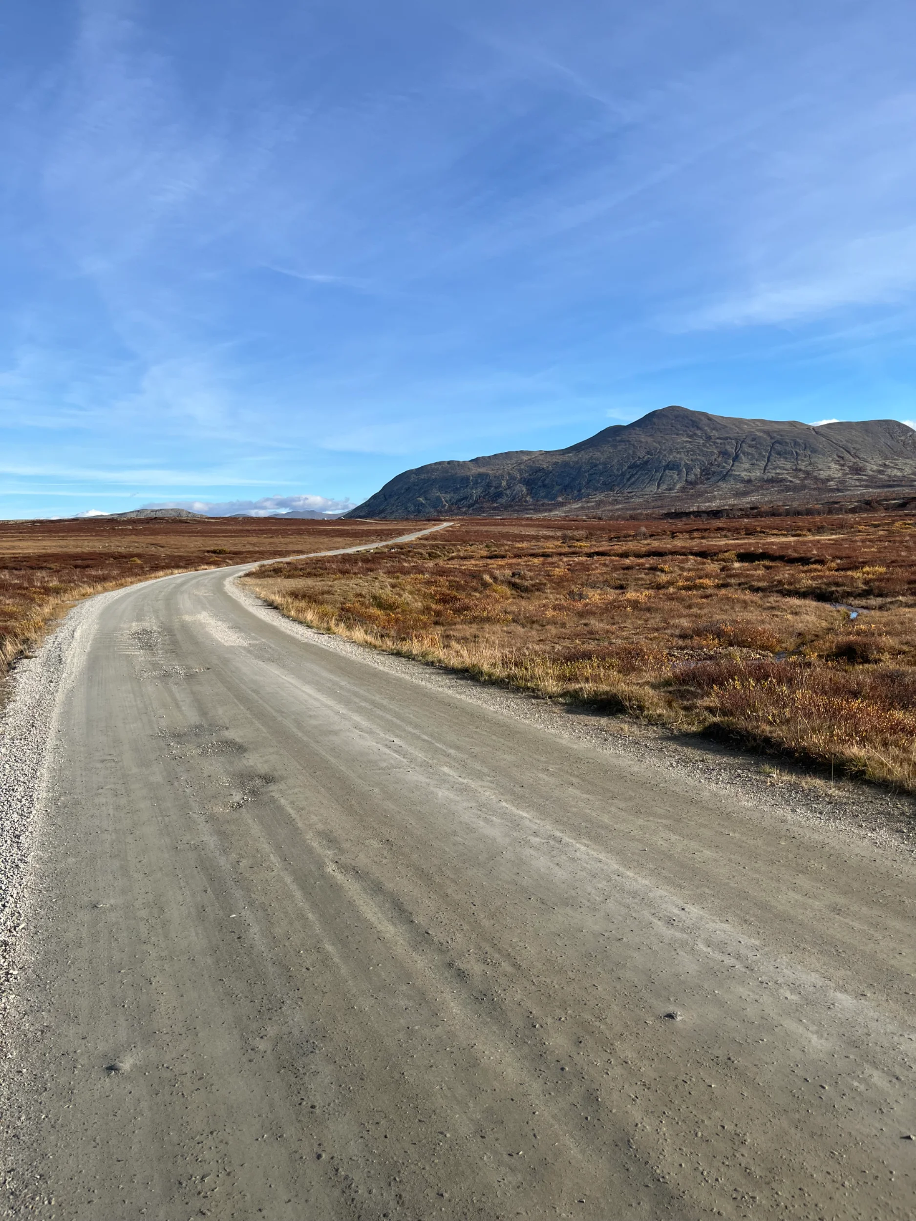 IMG_3529.webp