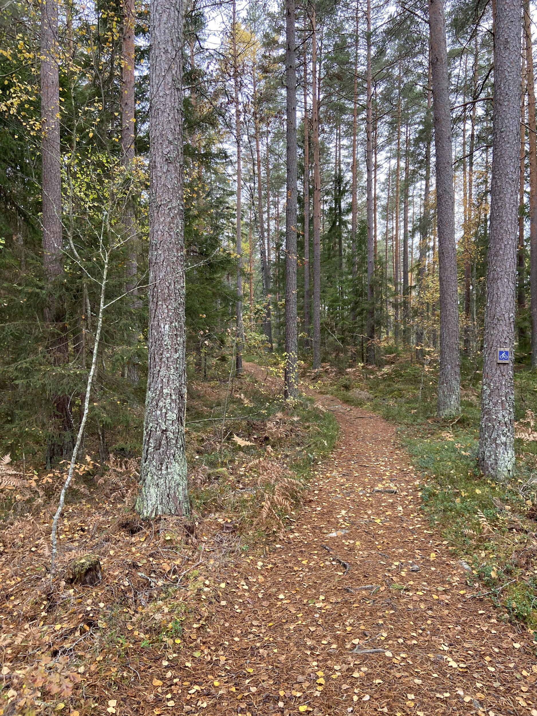 IMG_3586.jpeg