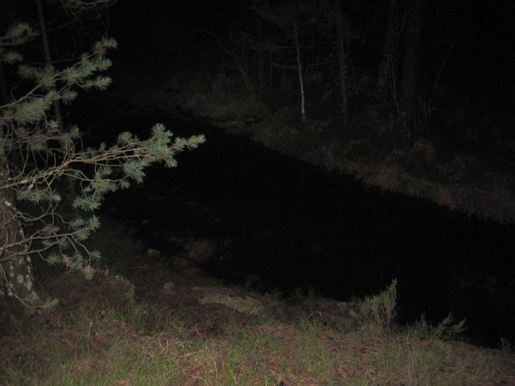 IMG_3652.JPG ht=544