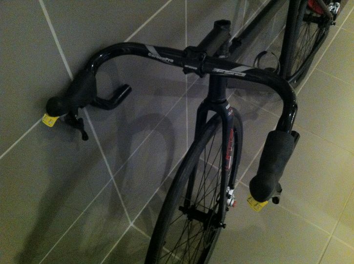 IMG_3686.jpg