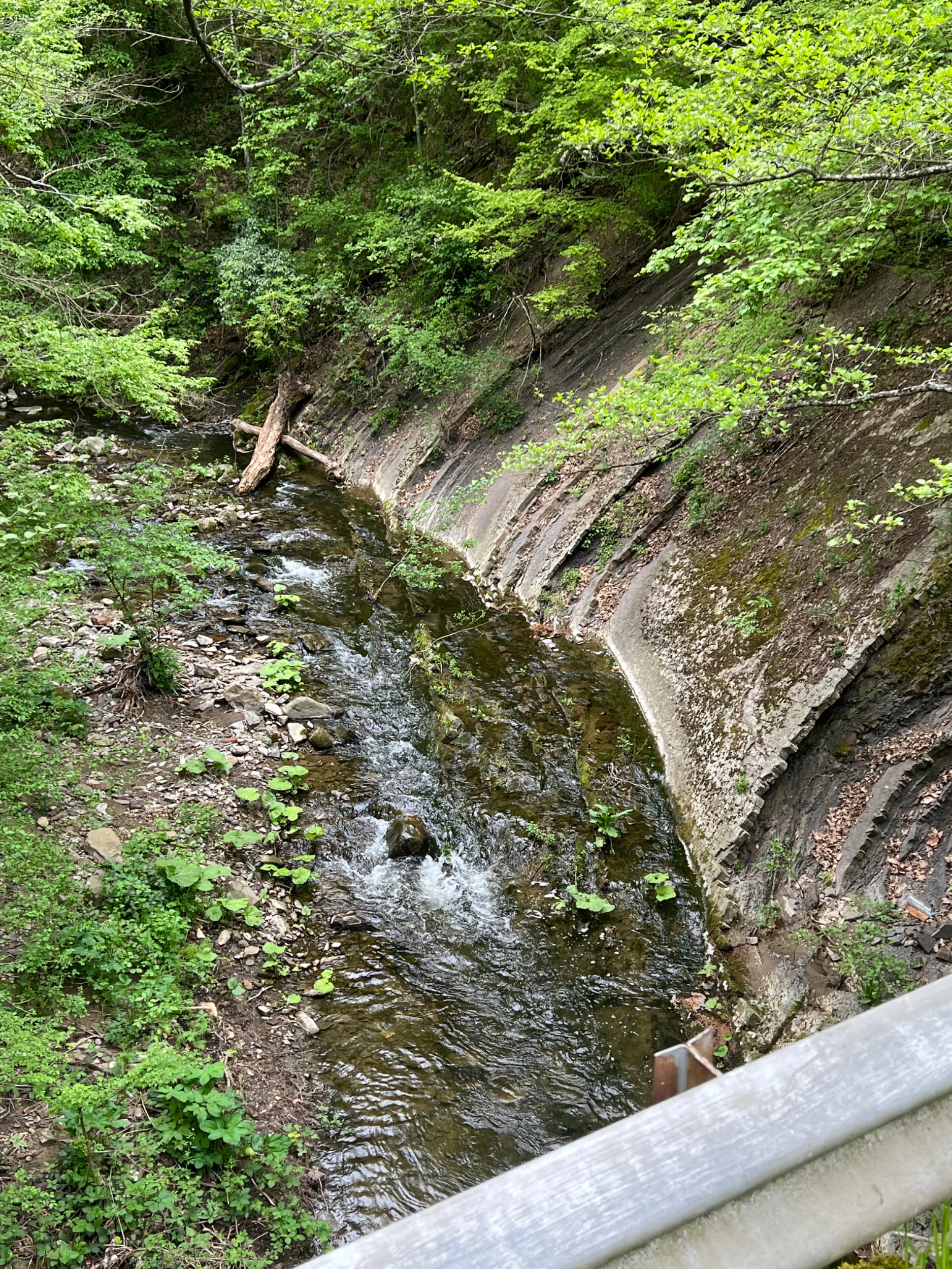 IMG_3776.webp