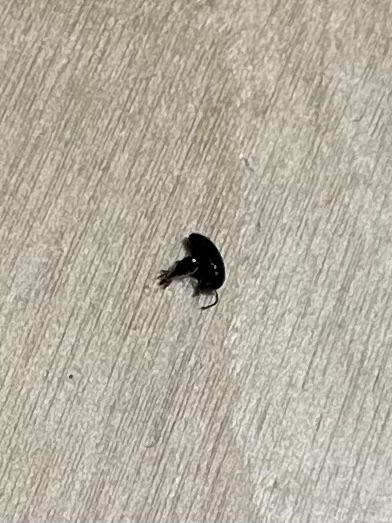 IMG_3892.jpeg
