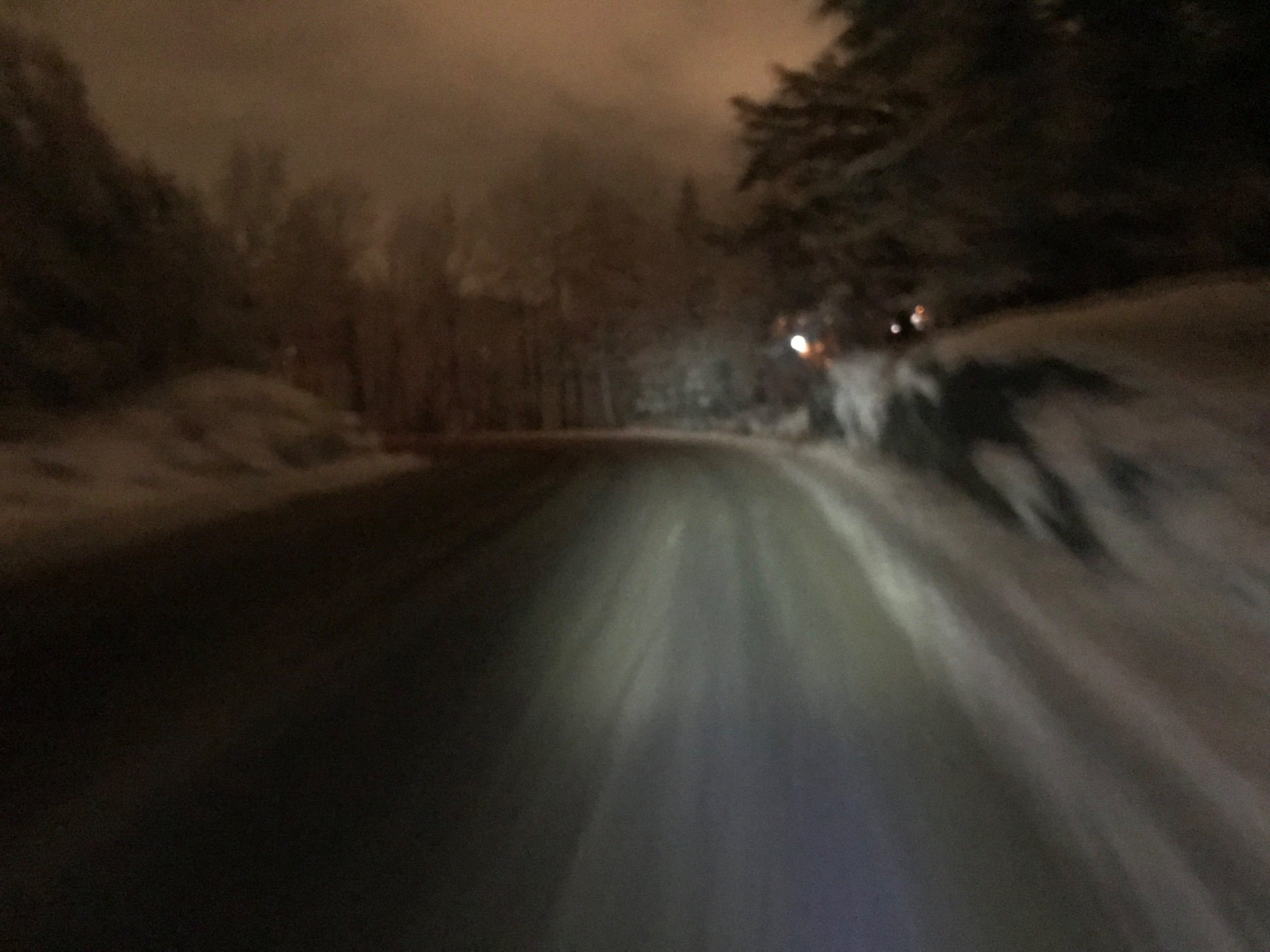 IMG_3895.jpeg