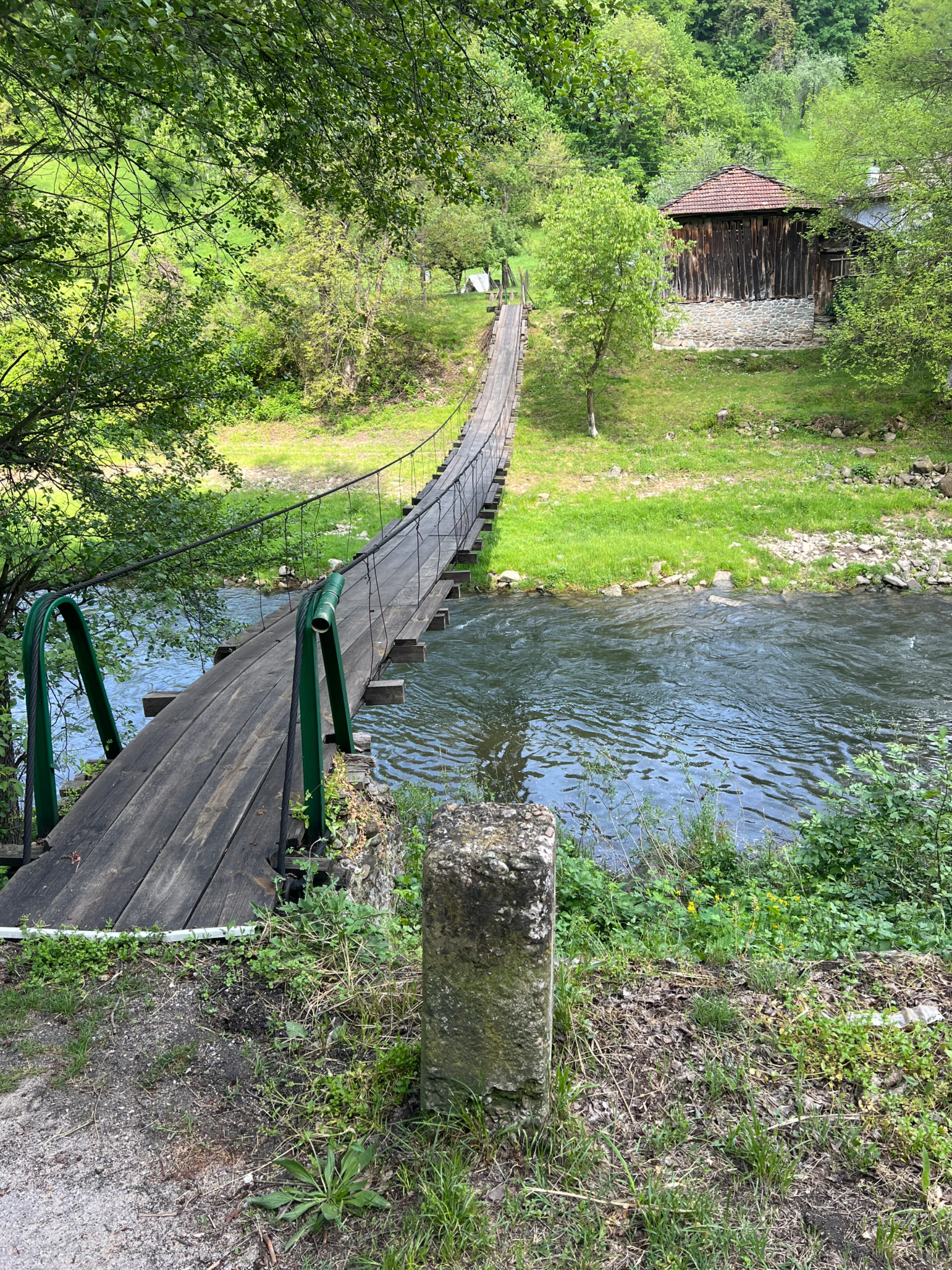 IMG_3916.webp