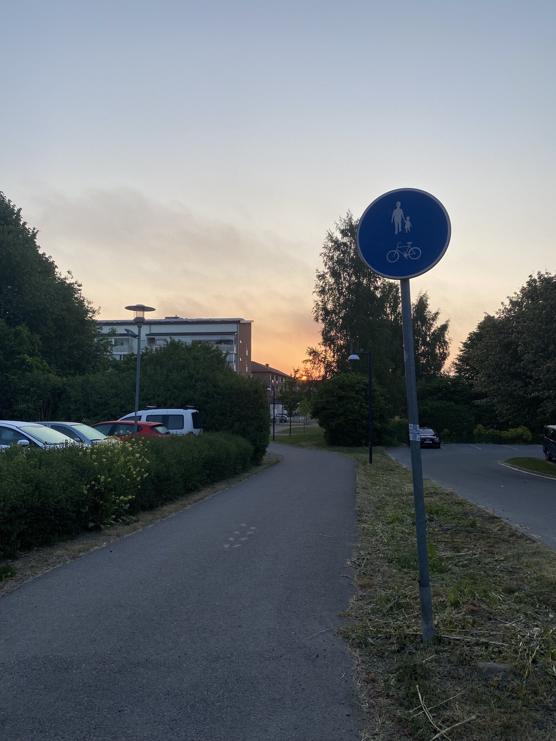 IMG_4064.jpeg