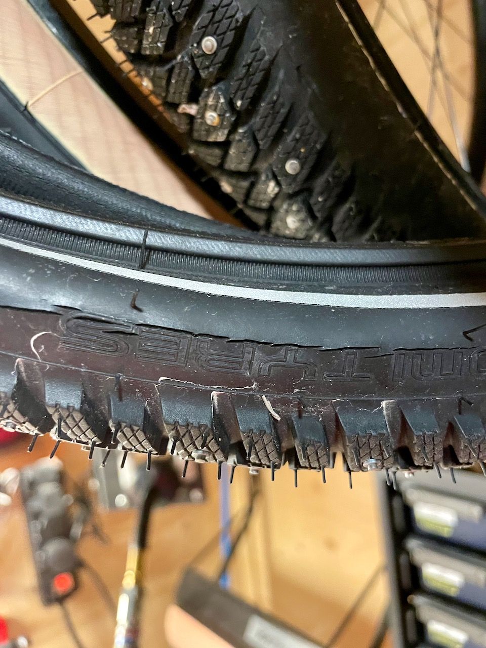 IMG_4072.jpeg